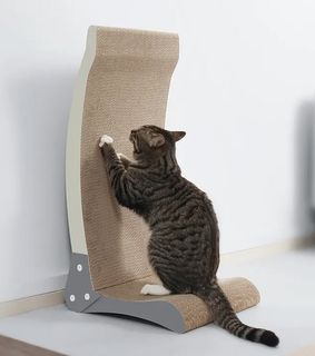 (Category: ) located in . Submitted by puffsnpaws (Listing ID 1221842647, Image 1). Description: .