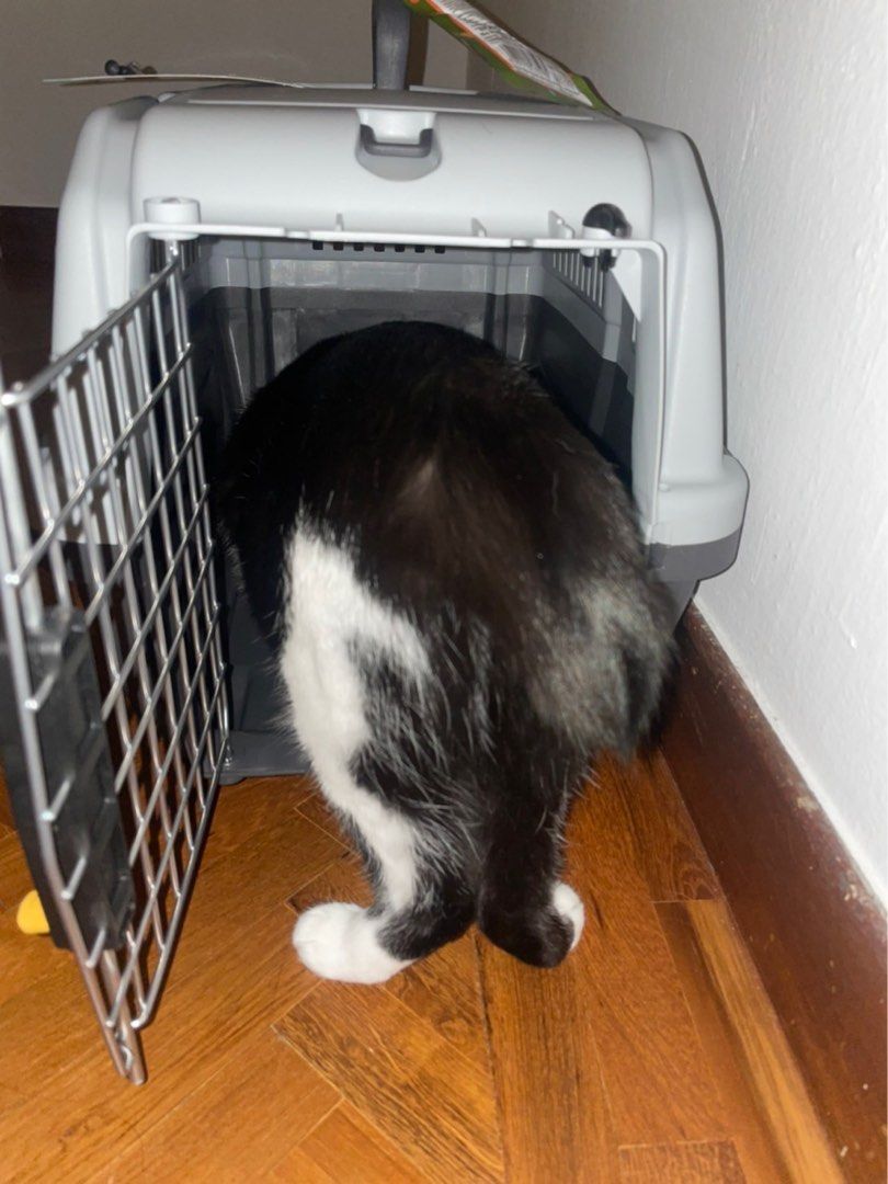 Pet crates (cat/dog), SKUDO IATA Compliant Carriers, Pet Supplies