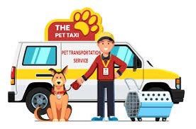 Pet Taxi & Transportation Services.