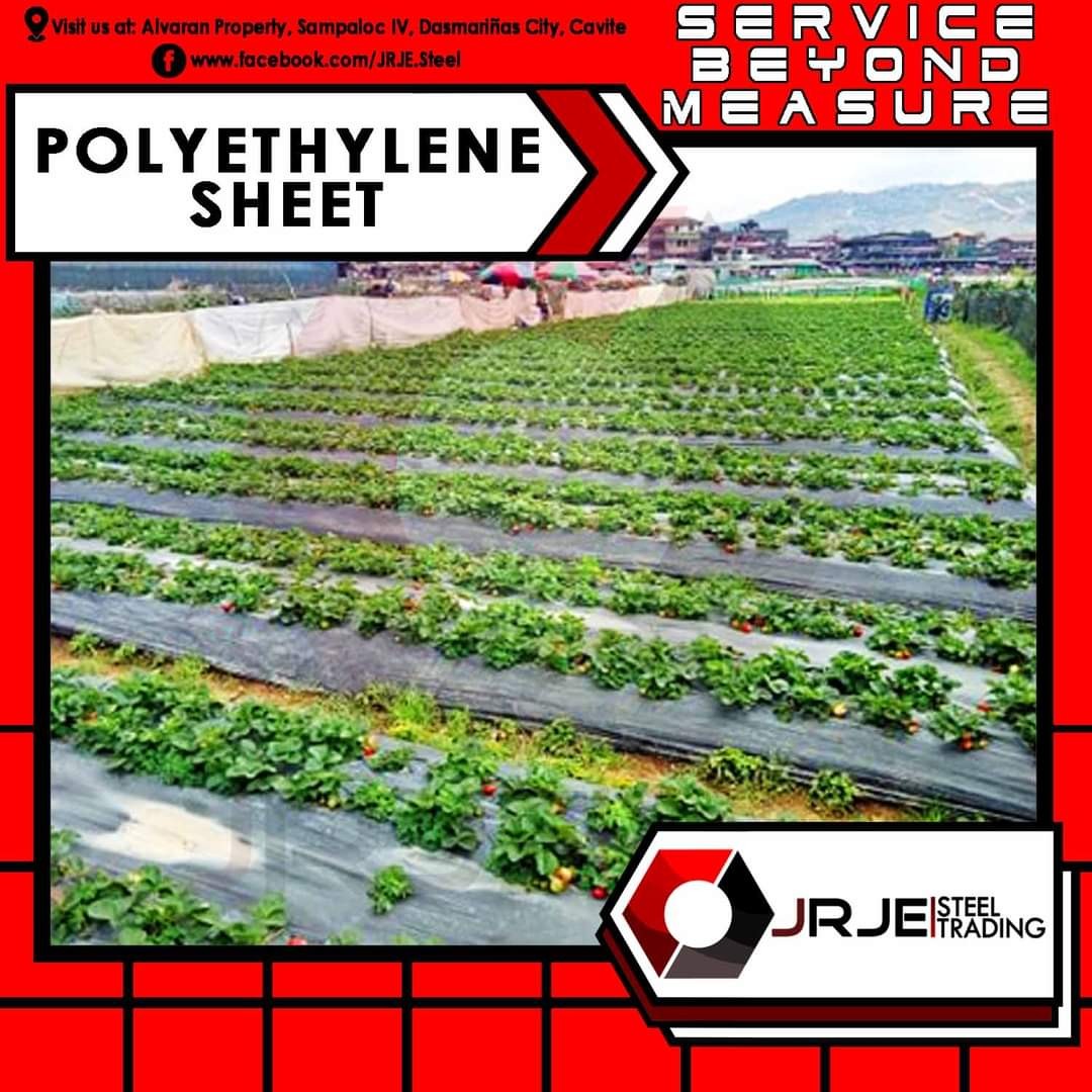 polyethylene-sheet-on-carousell