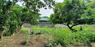 Residential Lot for Sale in Agoo,LU