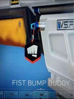 Valorant riot gun buddy account