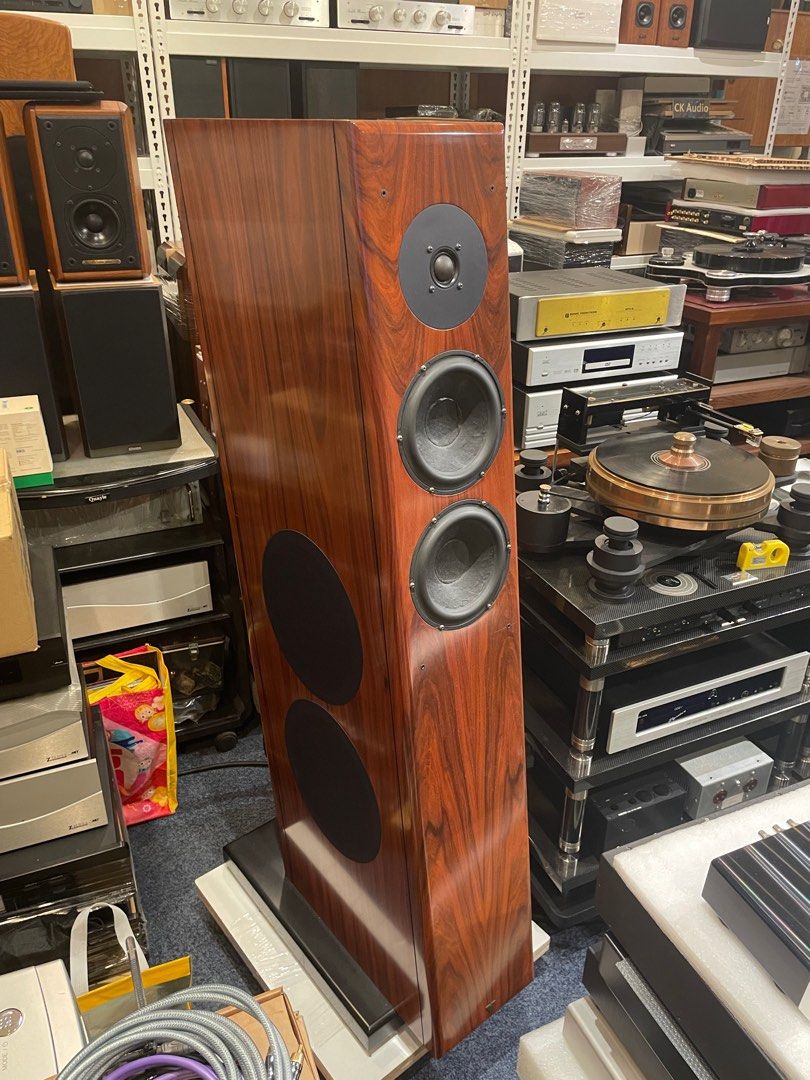 Vienna Acoustics Mahler Floorstanding Speakers, Audio, Soundbars