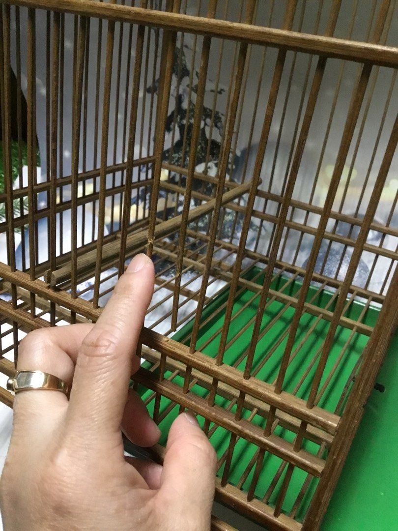竹製 名人鳥籠 倭 倭作 シドリ 尺2 鳥カゴ 未使用品 -