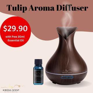 Aromatherapy 20pc Essential Oil Diffuser Set - Light Wood