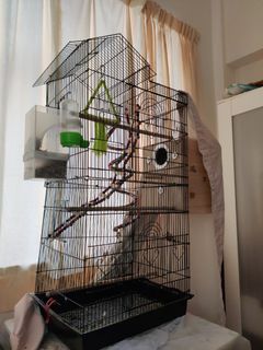 （分類：）位於 。 由 sai.techit 提交（商品編號 1221926363，圖片 1）。簡介： 。