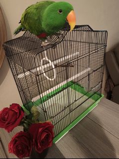 (Category: ) located in . Submitted by designerminds.1 (Listing ID 1221517441, Image 1). Description: .