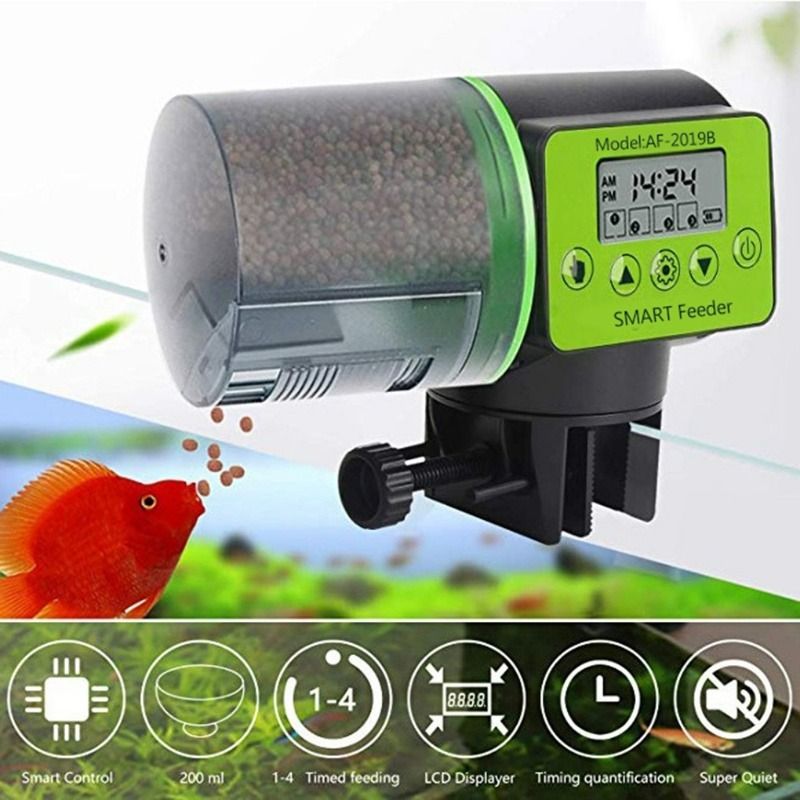 Electronic fish feeder hot sale