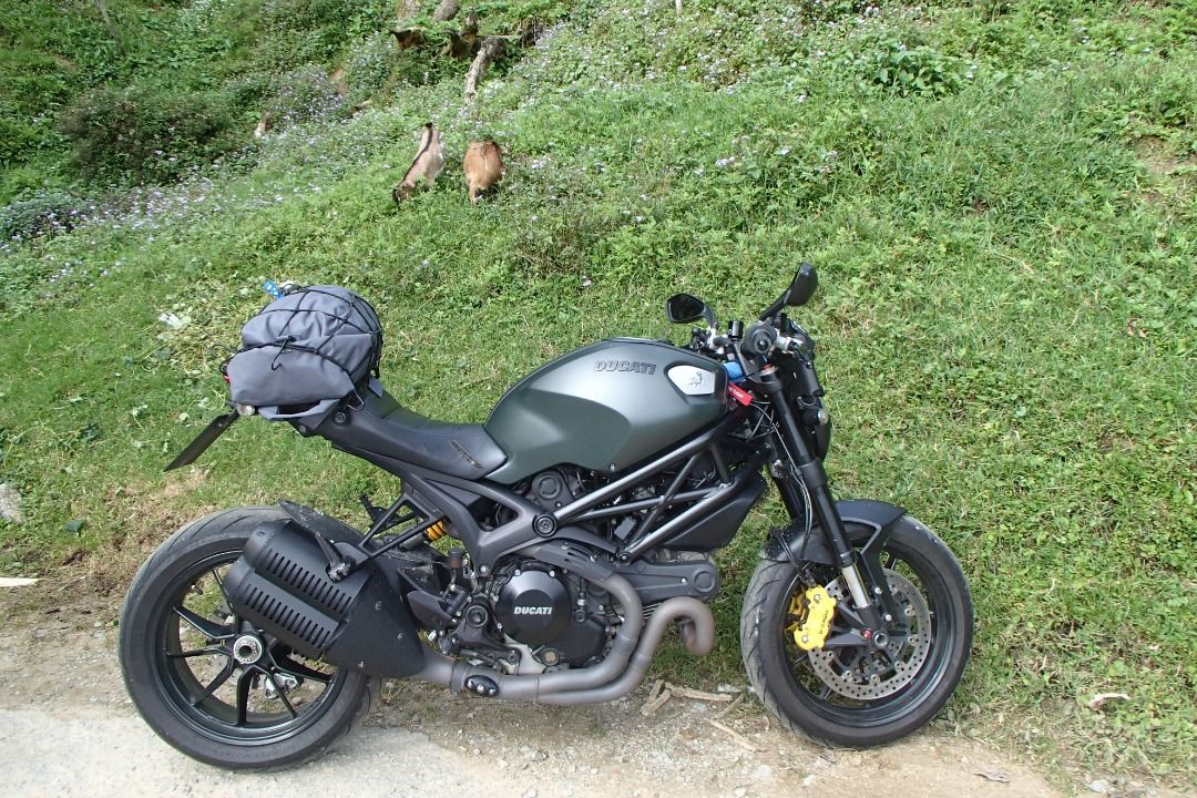 Ducati monster diesel sales