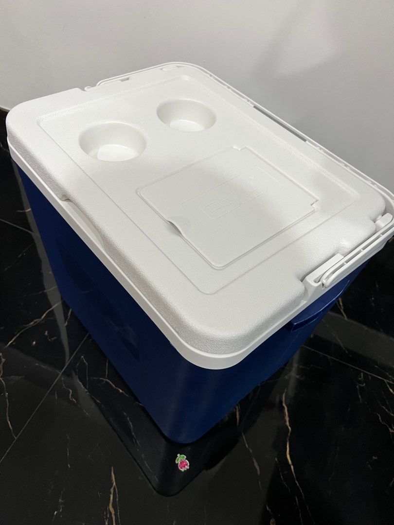 Esky 33l