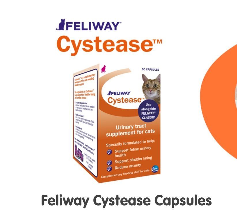 Feliway cystease capsules hotsell