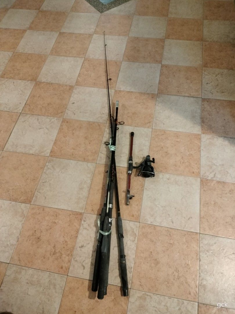 Daiwa Phantom Catfish Spinning Rod 66', Sports Equipment, Fishing on  Carousell