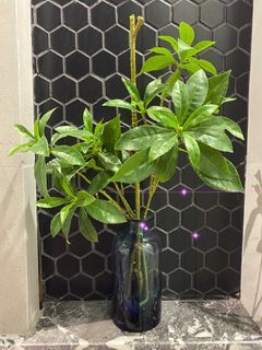 Informa Vase Bottle Pop M1 & Plant
