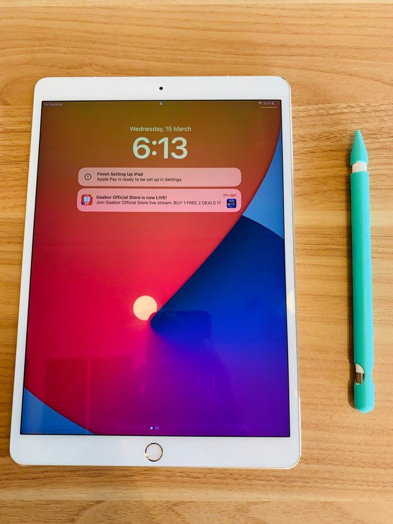 iPad pro 10.5 256gb apple pencil付