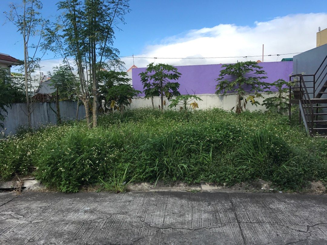 Lot For Sale in Brgy. Sta Maria Sto. Tomas inside subdivision on Carousell