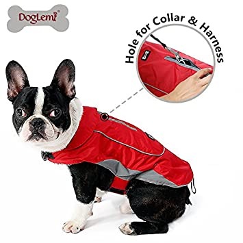Doglemi jacket online