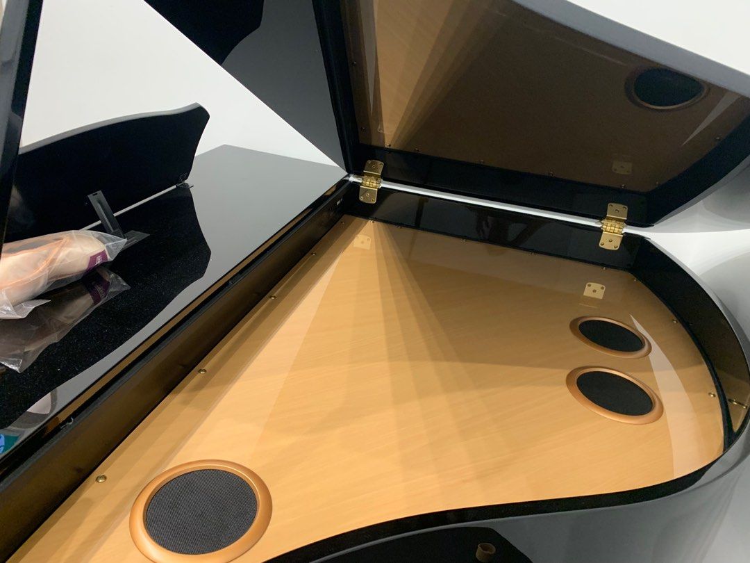 Roland digital grand piano GP609, Hobbies & Toys, Music & Media