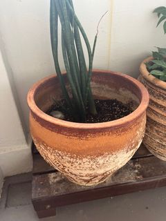 (Category: ) located in . Submitted by sloane5347 (Listing ID 1221998695, Image 1). Description: .