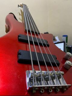 Schecter bass