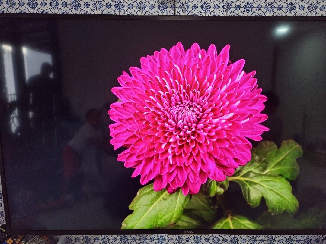 Sony Bravia 55 Inches TV Home Appliances TV Entertainment TV On