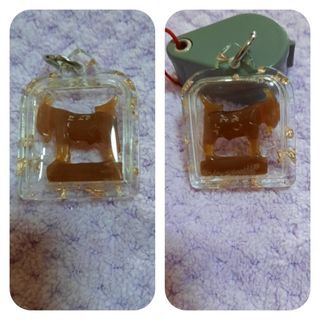 (Category: ) located in . Submitted by daniel308126597 (Listing ID 1221953287, Image 1). Description: .