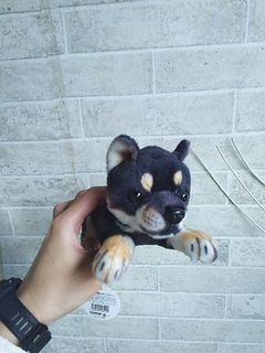 日本購入 柴犬玩偶 娃娃