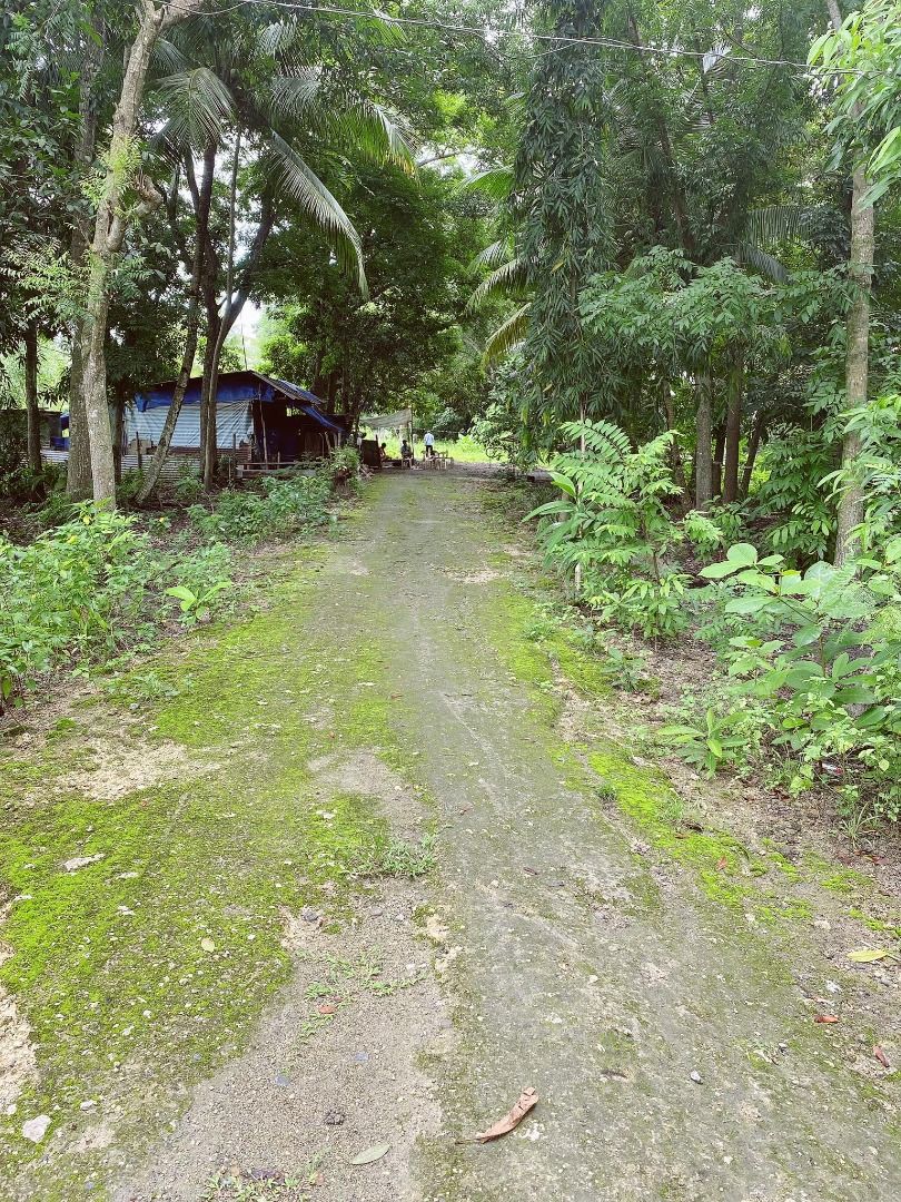 Barotac Nuevo Iloilo on Carousell