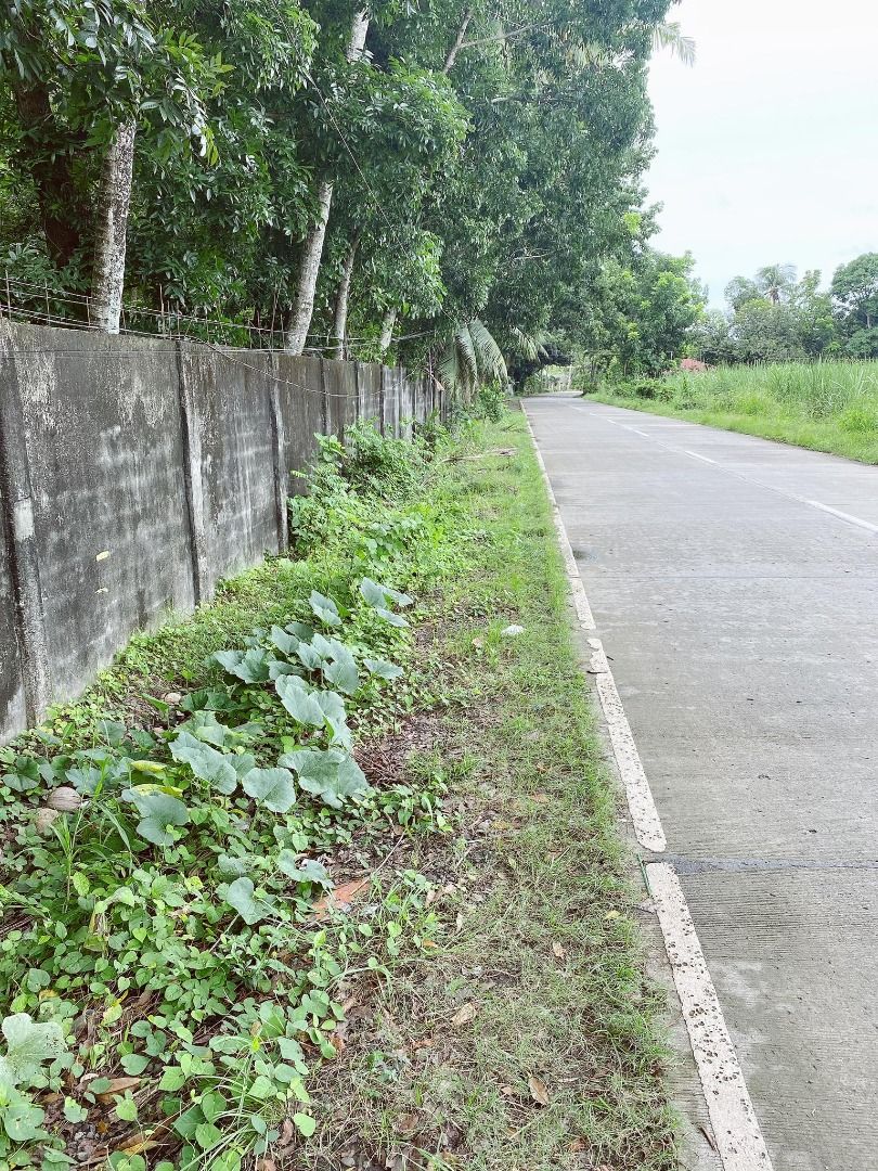 Barotac Nuevo Iloilo on Carousell