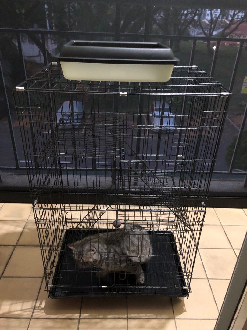 Cat Cage Sangkar Kuching second hand Pet Supplies Homes