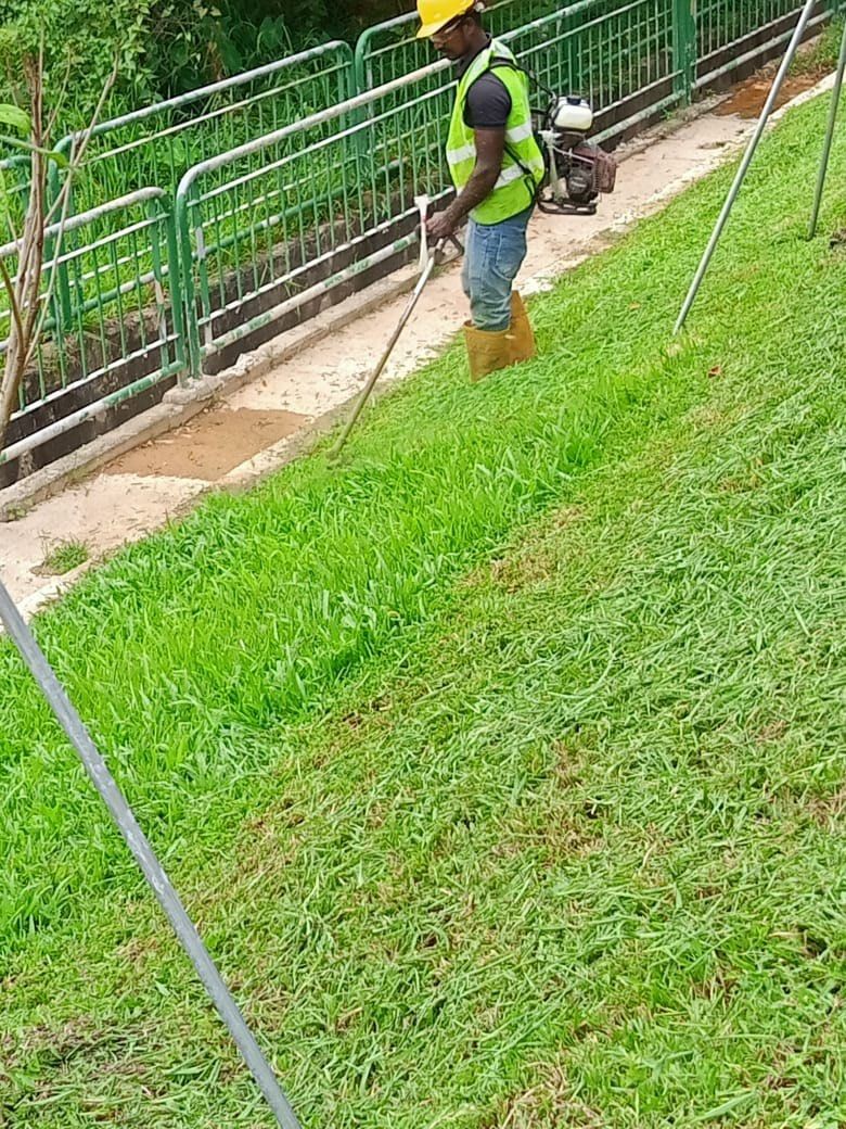 Grass cutting & Garden Maintenance 64884983977603110