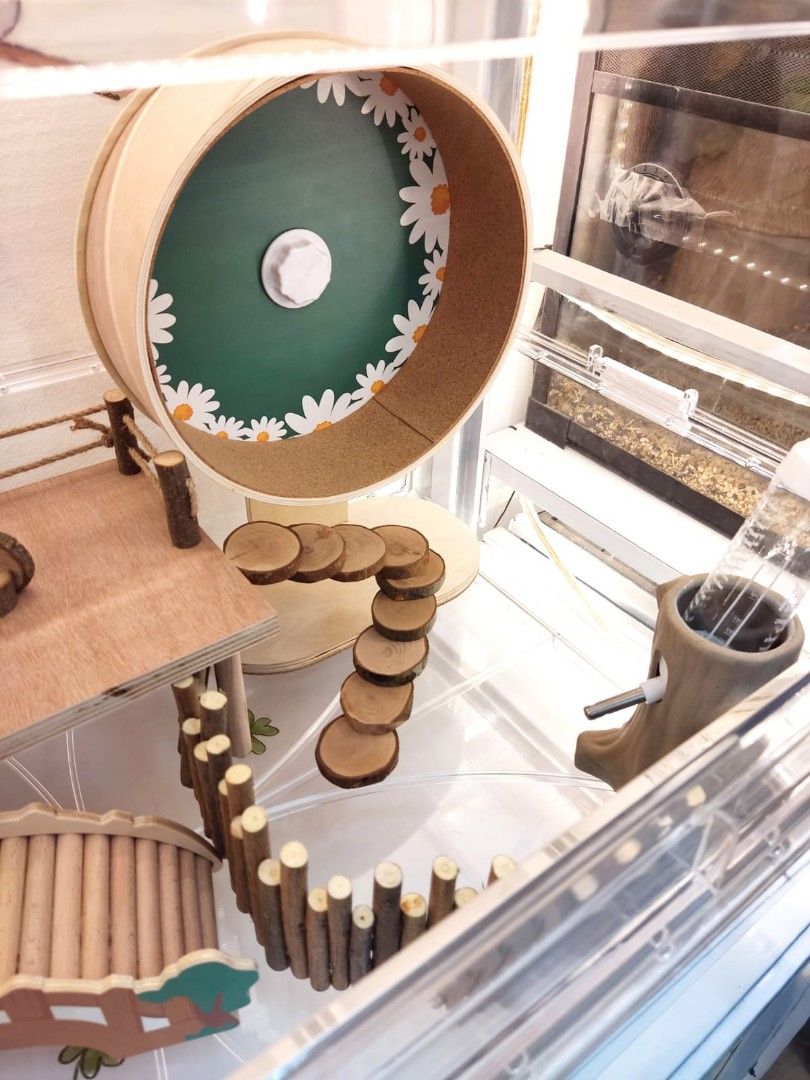 Hamster acrylic cage ( Tafit) (Category: Homes & Other Pet Accessories) located in Singapore. Submitted by hammy_paradise (Listing ID 1222133776, Image 3). Description: price is only for cage itself. accessories sold separately. house pet as our cage model NOT for sale.