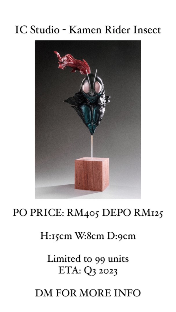 IC Studio - Kamen Rider Insect, Hobbies & Toys, Toys & Games on Carousell