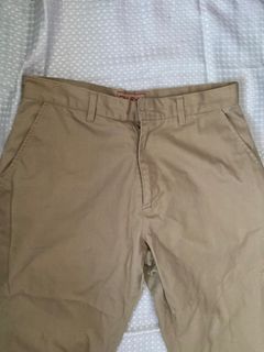 Plus Size Brown Pants