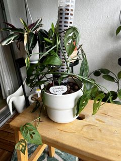 (Category: ) located in . Submitted by little.leafleaf (Listing ID 1222126018, Image 1). Description: .