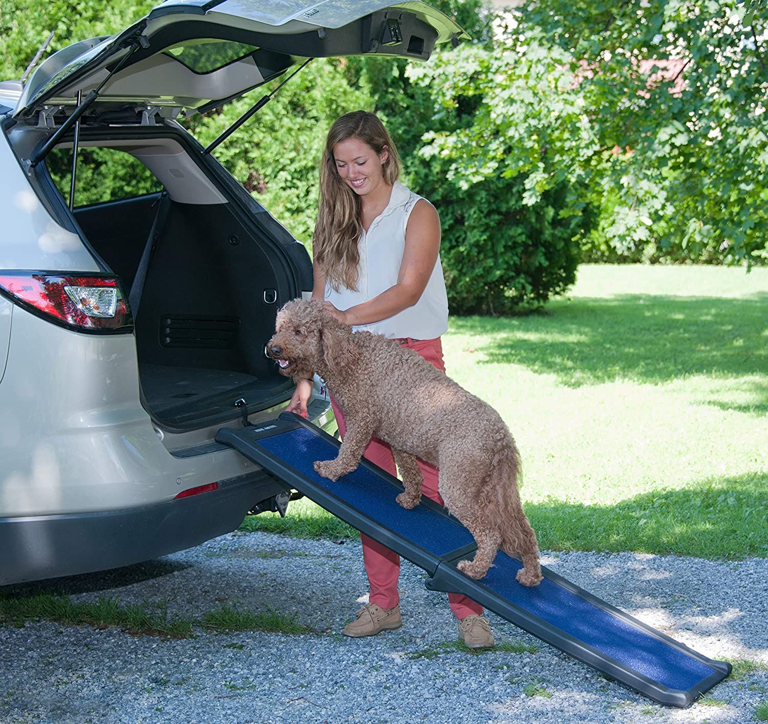 Pet gear travel lite ramp online