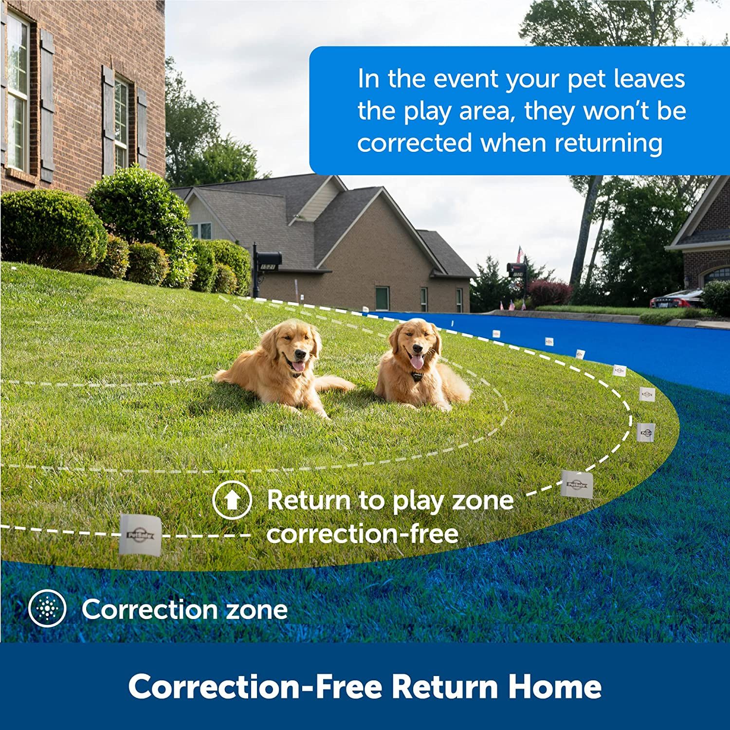 PetSafe Stay & Play Extra Wireless Fence Transmitter, Increase Your  Existing Wireless Boundary 