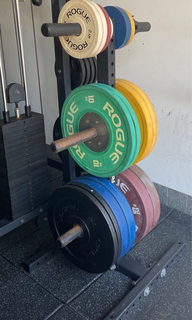 Rogue Barbell Bumper Plates and Stand Sports Equipment Exercise