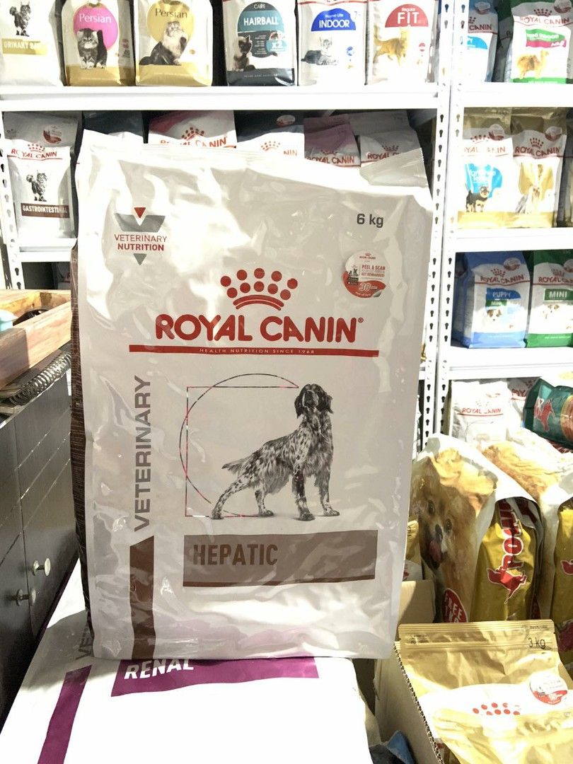 HEPATIC Mousse für Hunde | Royal Canin AT