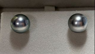 Saltwater Tahitian silver blue pearl g18k gold stud earrings
