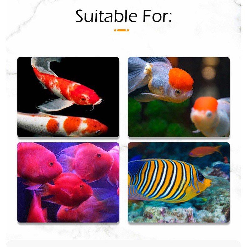 YEE KOI Food, TripleEffect Fish Food Pellet, KOI Fish Grain To Provide