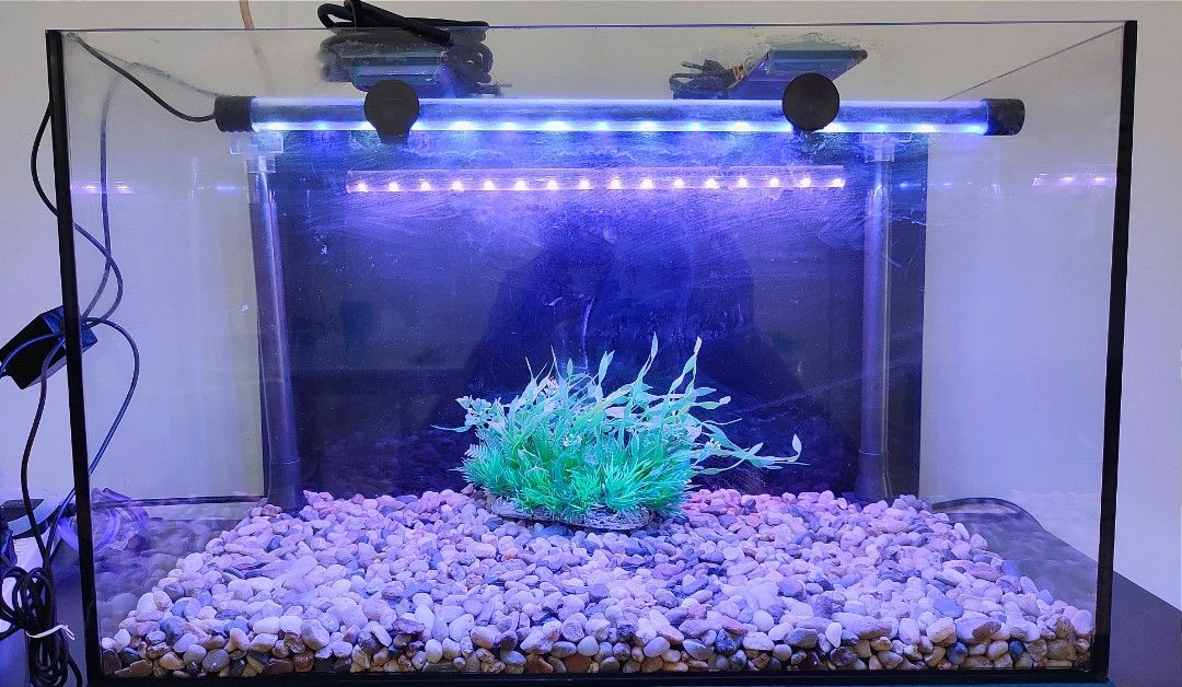 2 feet aquarium decoration clearance
