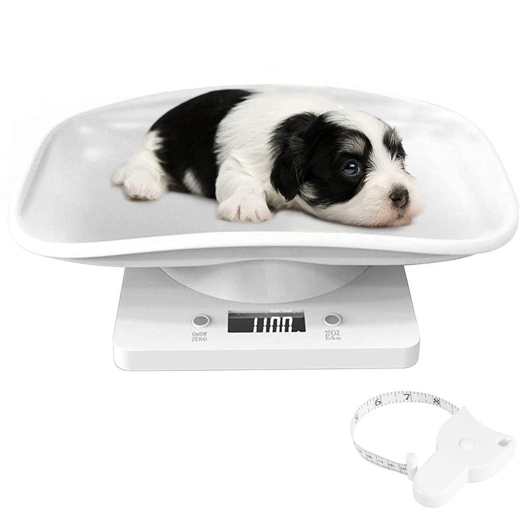 https://media.karousell.com/media/photos/products/2023/3/23/b1581_pet_scales_pet_weighing__1679577962_9dc3ddc8_progressive