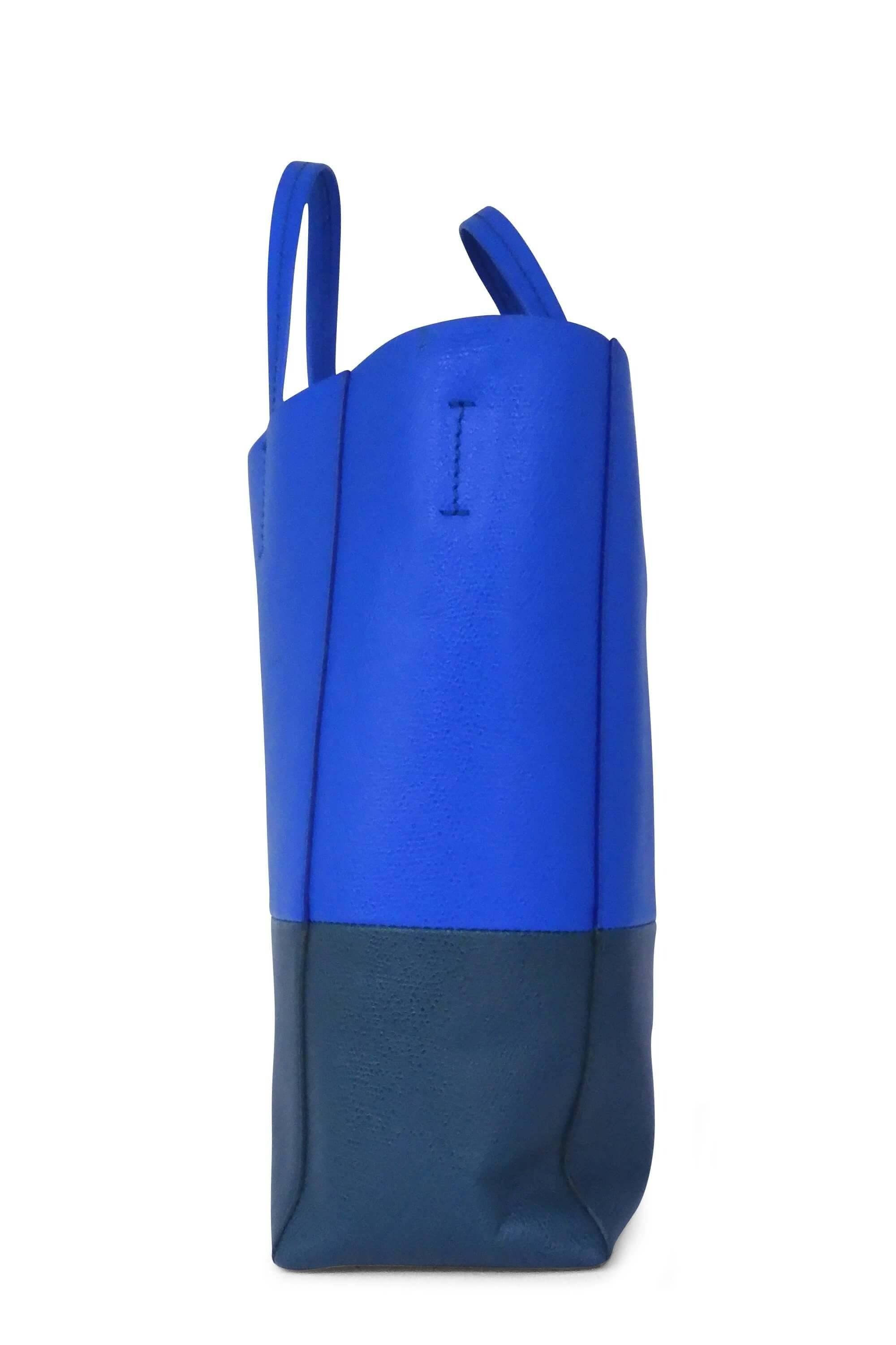 Celine best sale bicolor cabas