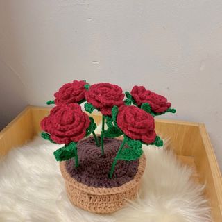 CROCHET POT ROSES KAIT