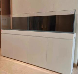 (Category: ) located in . Submitted by aquaticstore (Listing ID 1222336247, Image 1). Description: .