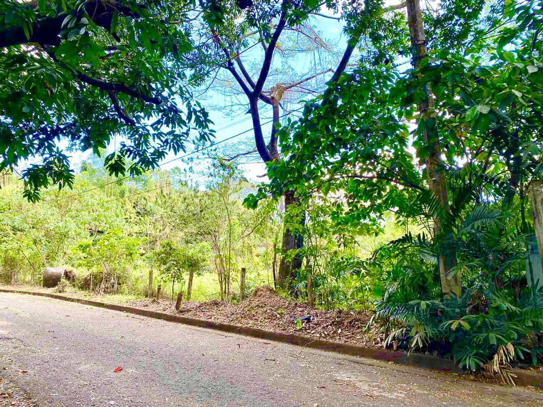 For SaleResidential Lot in Valley Golf Subd Antipolo City, Property