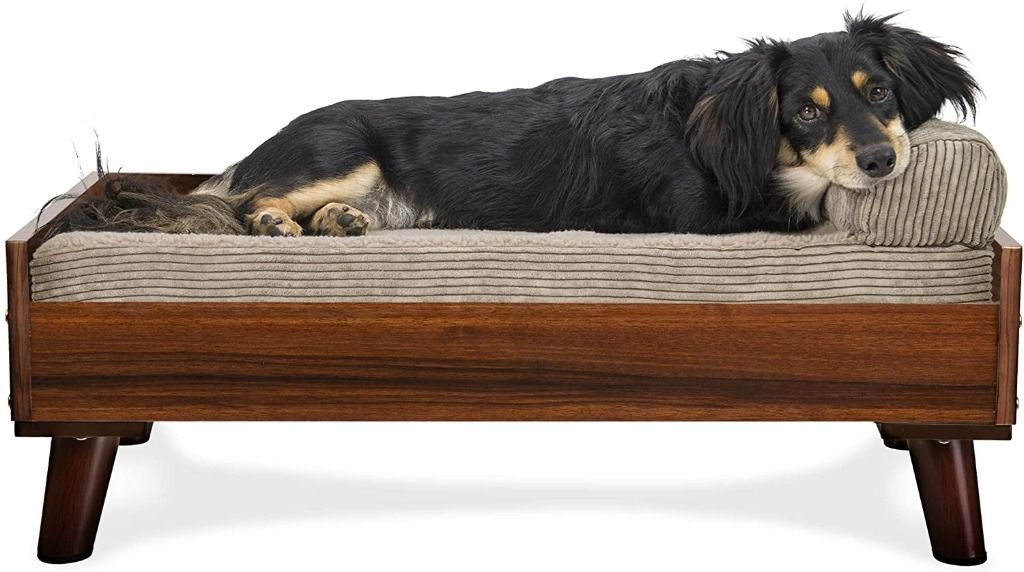 Elevated dog 2025 bed frame