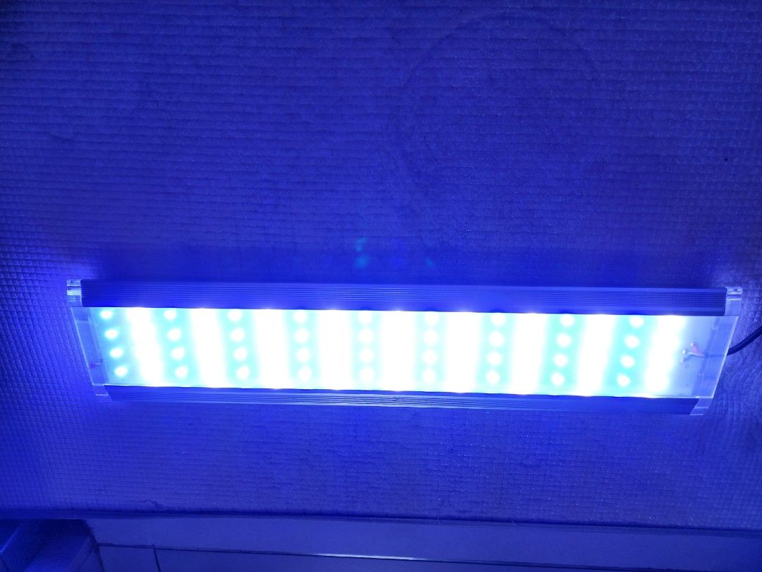 Marine Fish Tank 38L Full Set Starter kit Skimmer Pump LED light all