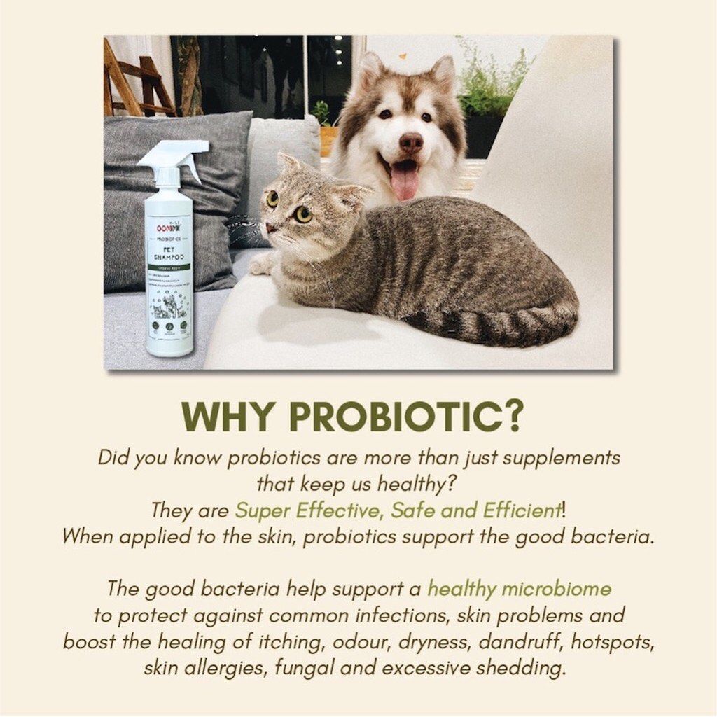 Oommi Hypoallergenic Pet Shampoo For Pets With Sensitive Skin Yeast