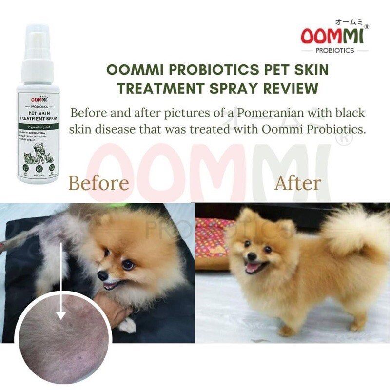 OOMMI Pet Skin Treatment Spray Probiotics, dog, cat, itchy, Pet